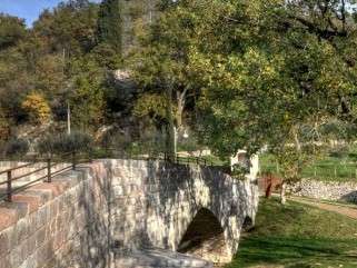Bosco di San Francesco – Assisi (PG)