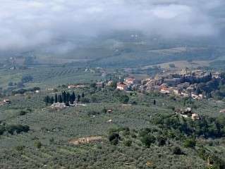 Comune di Montecchio (TR)