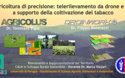 Tabacchicoltura di precisione – telerilevamento da drone e GIS