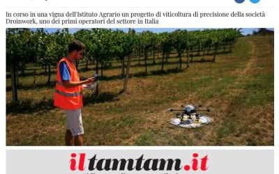 iltamtam.it | Un vigneto “sotto drone” per tutto l’anno a Todi
