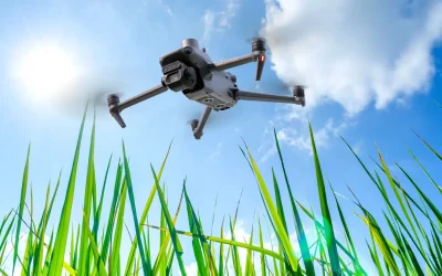 Droni e Agricoltura di Precisione: Perché Sceglierli Rispetto ai Satelliti