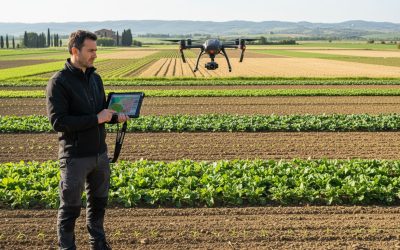 Come ottimizzare la resa agricola con droni passo dopo passo